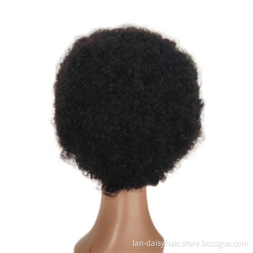 Wholesale wigs 100% human hair 10a Indian hair 13*1 Afro kinky curly lace front wig For Black Women